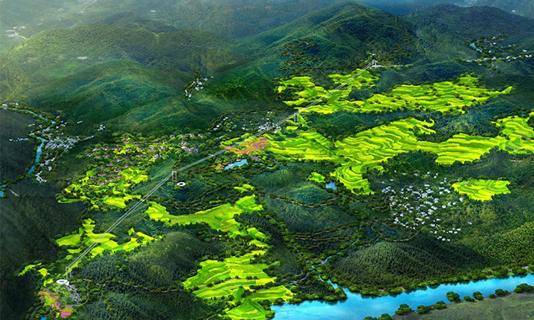 新利luck18●泽雅幼镇